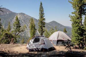 Mount Rose Campground Site 24